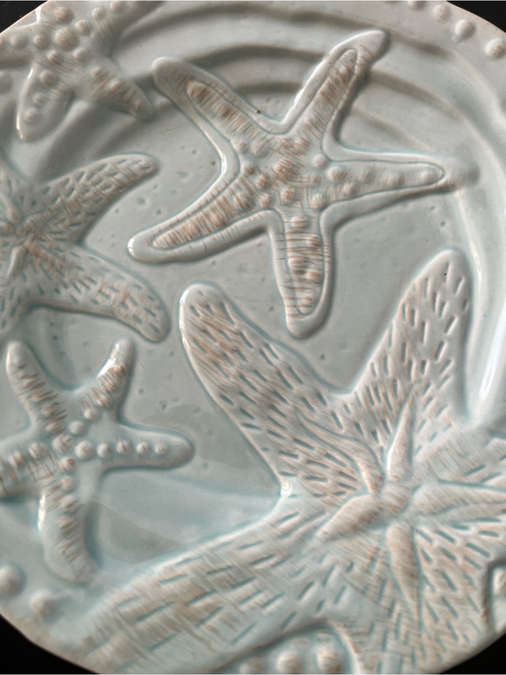 Coastal Blue Sky clay 3D Sea  Starfish and Fish dinner plate 10"    Two plates